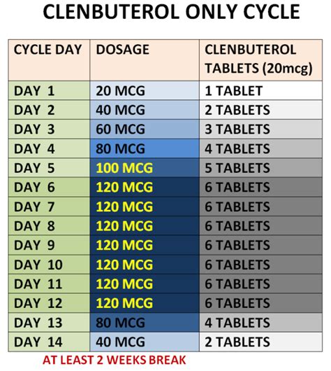 T3 will further make things worse by making you lose significant muscle mass by . . Clenbuterol and t3 cycle for weight loss